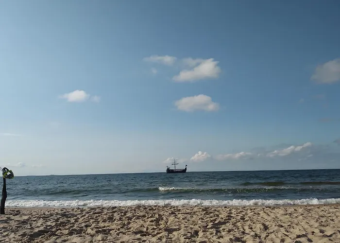 New Homes For 7 People,